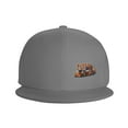 thumbnail image 3 of DouZhe Flat Brim Cap Snapback Hat, Retro Graffiti Racer Prints Adjustable Gray Adult Baseball Cap, 3 of 6