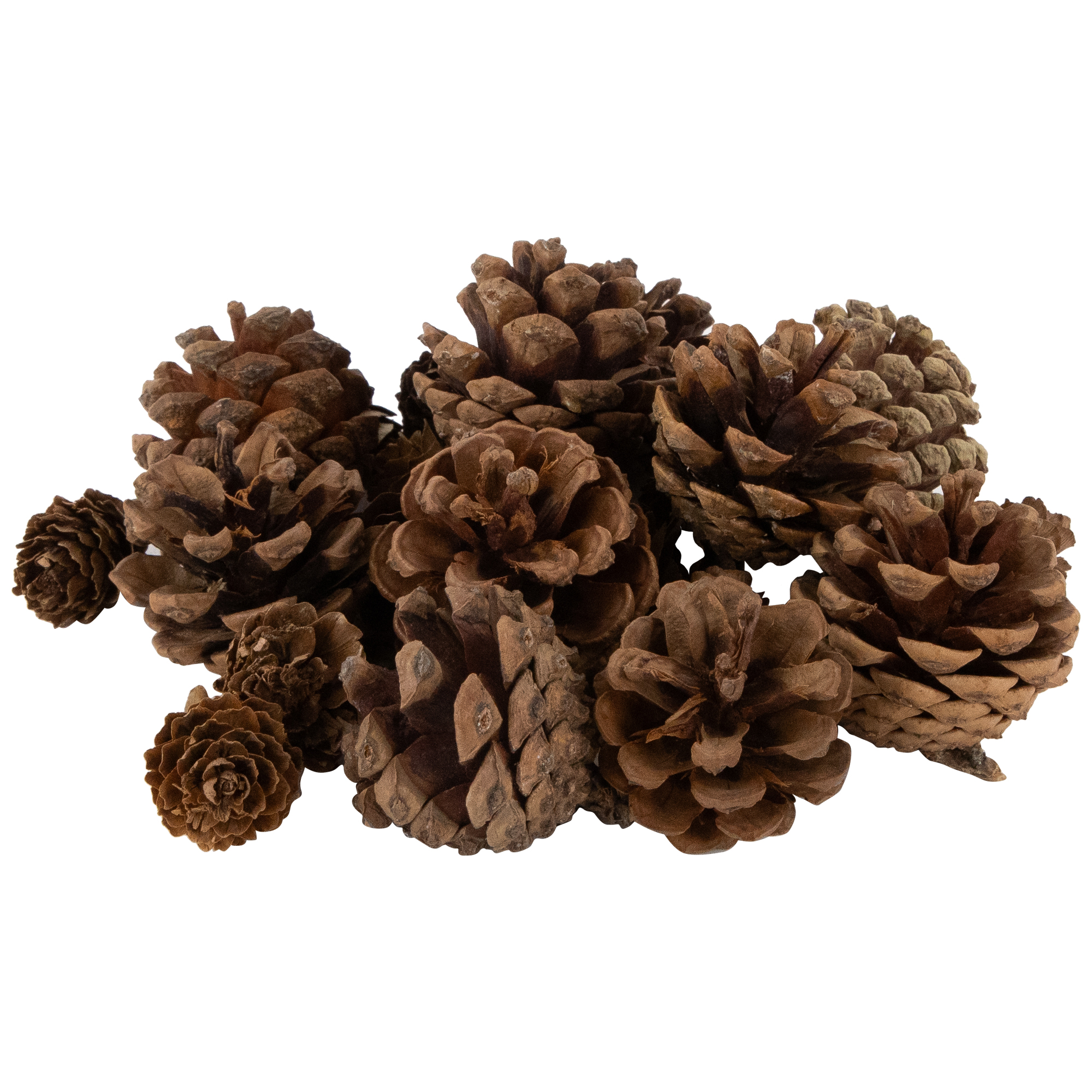 Northlight Ornaments, Pinecones and Stars Christmas Decorations - 6"