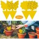 thumbnail image 1 of Trampa para moscas CHAO 48 piezas amarillas para plantas, 1 of 5