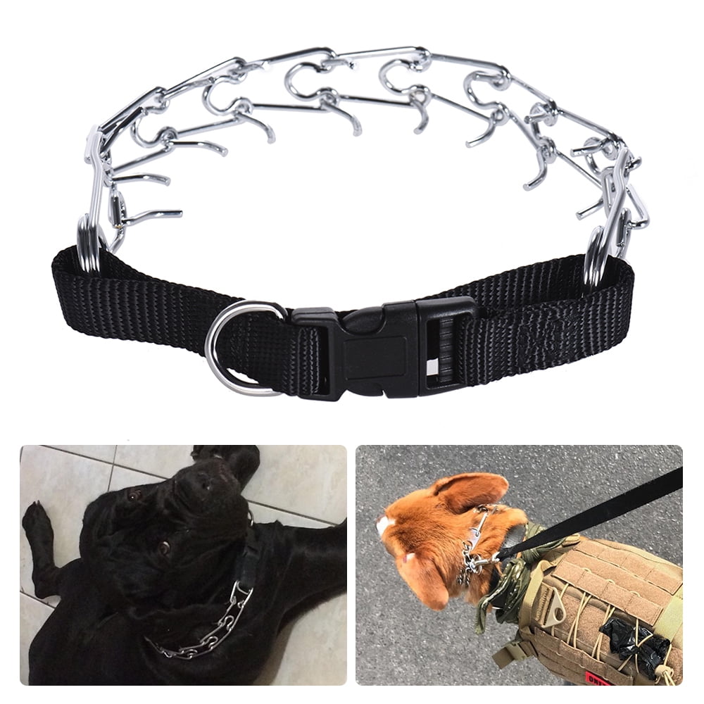 prong collar walmart