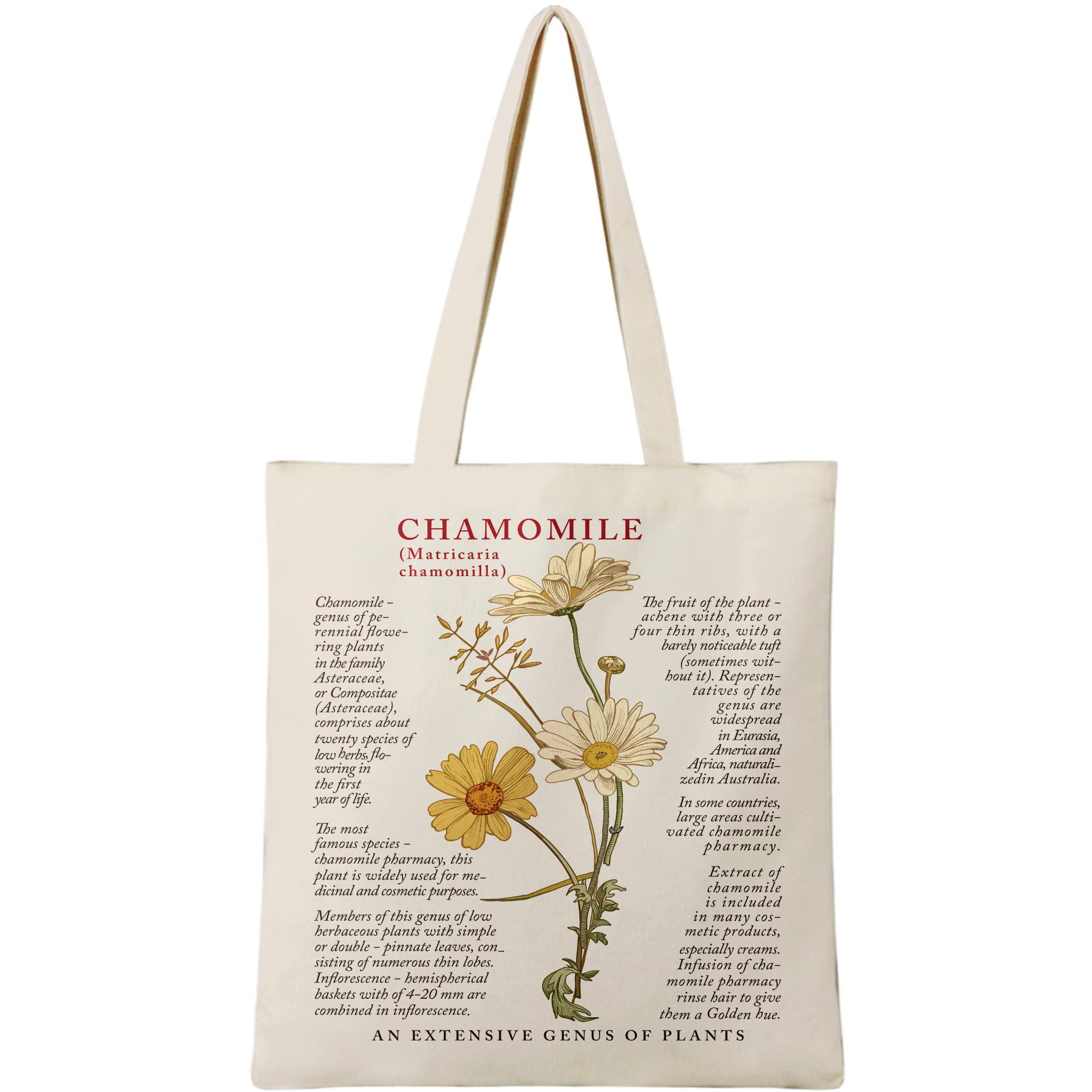 Butterfly Canvas Tote Bag with Zipper Pockets Carnation Flower Cute Tote  Bag Aesthetic Reusable Shopping Grocery Bags Birthday Gifts for Women  Mother Teacher Mother's Day Gift - Yahoo Shopping