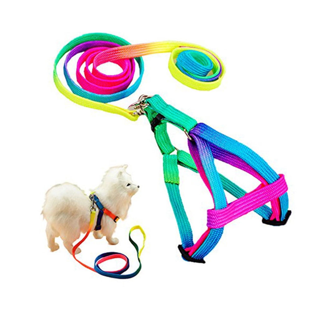rainbow cat harness