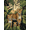 Green, Pattern 9, variant on ODIKA 4'x6' Machine Washable Non-Slip Area Rug, Modern Beige High Traffic Rug, Beige, 1260768