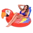 thumbnail image 1 of Tubo para fiestas con forma de loros tropicales GoFloats para piscina, 1 of 7