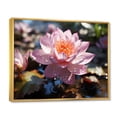 thumbnail image 2 of Designart "Lotus Serenity Symbol of Purity II" Floral Floater Framed Canvas Print, 2 of 7