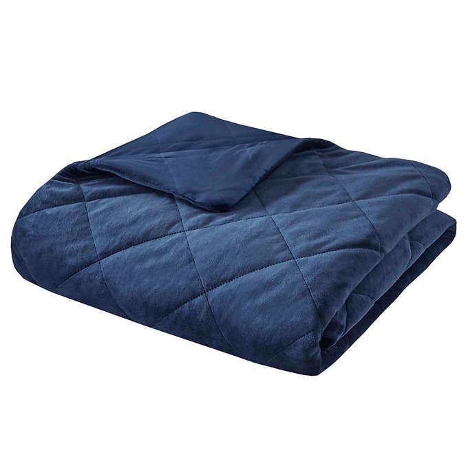 Beautyrest platinum weighted blanket hotsell