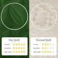 thumbnail image 6 of Exclusivo Mezcla Bed Quilt Set King Size for All Seasons, Stitched Pattern Quilted Bedspread/ Bedding Set/ Coverlet with 2 Pillow shams, Lightweight and Soft, Grass Green, 6 of 7