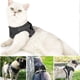 thumbnail image 5 of Arnés para gatos, correa para arnés de gato, arnés para gatos con correa Chaleco reflectante, correa ajustable para arnés de gato Pequeño(s), 5 of 5