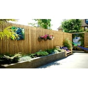 Backyard X-Scapes Natural Bamboo Fence Panel 3/4 D x 6 H x 8 L