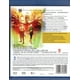 thumbnail image 2 of Batman Alma De Dragon Dc Pelicula BLU-RAY Warner Bros Blu Ray, 2 of 2