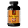 Dietary Natural Supplement - Kidney Support 700 Mg - Restore 1 Bottle 60 Capsules