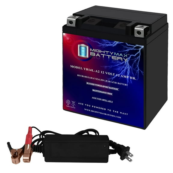 YB14L-A2 -12 Volt 12 AH, 210 CCA, Rechargeable Maintenance Free SLA AGM Motorcycle Battery   12V 2AMP Charger