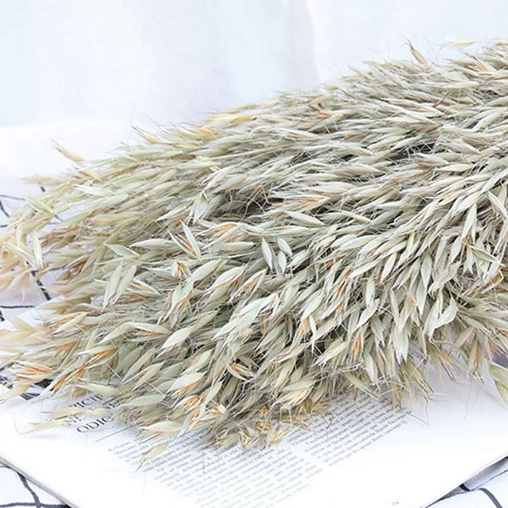 POINTERTECK Dried Natural Plant Real Dry Wheat Flower Bouquet For Home Decor Wedding 1PC