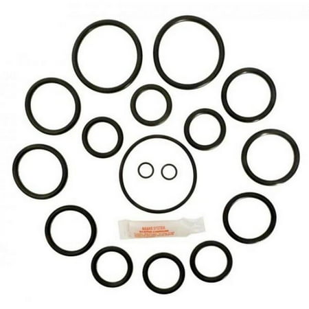 - APC APCK1021 O-Ring Kit for Bronze Backwash Valve