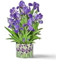 thumbnail image 6 of 3D Greeting Cards Pop Up Cards 16" Iris Paper Flower Bouquet Gifts for Women Mom Wife Birthday, Anniversary, Get Well Cards with Note Card & Envelope, Romantic Iris, 6 of 7