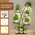 thumbnail image 3 of EVAWOO Soporte para Plantas con Luces de Cultivo - Estantería de Esquina de 7 Niveles para Múltiples Plantas, Estantes Metálicos de 42", Exhibidor de Flores para Interiores, Hogar, Patio y Balcón, 3 of 7
