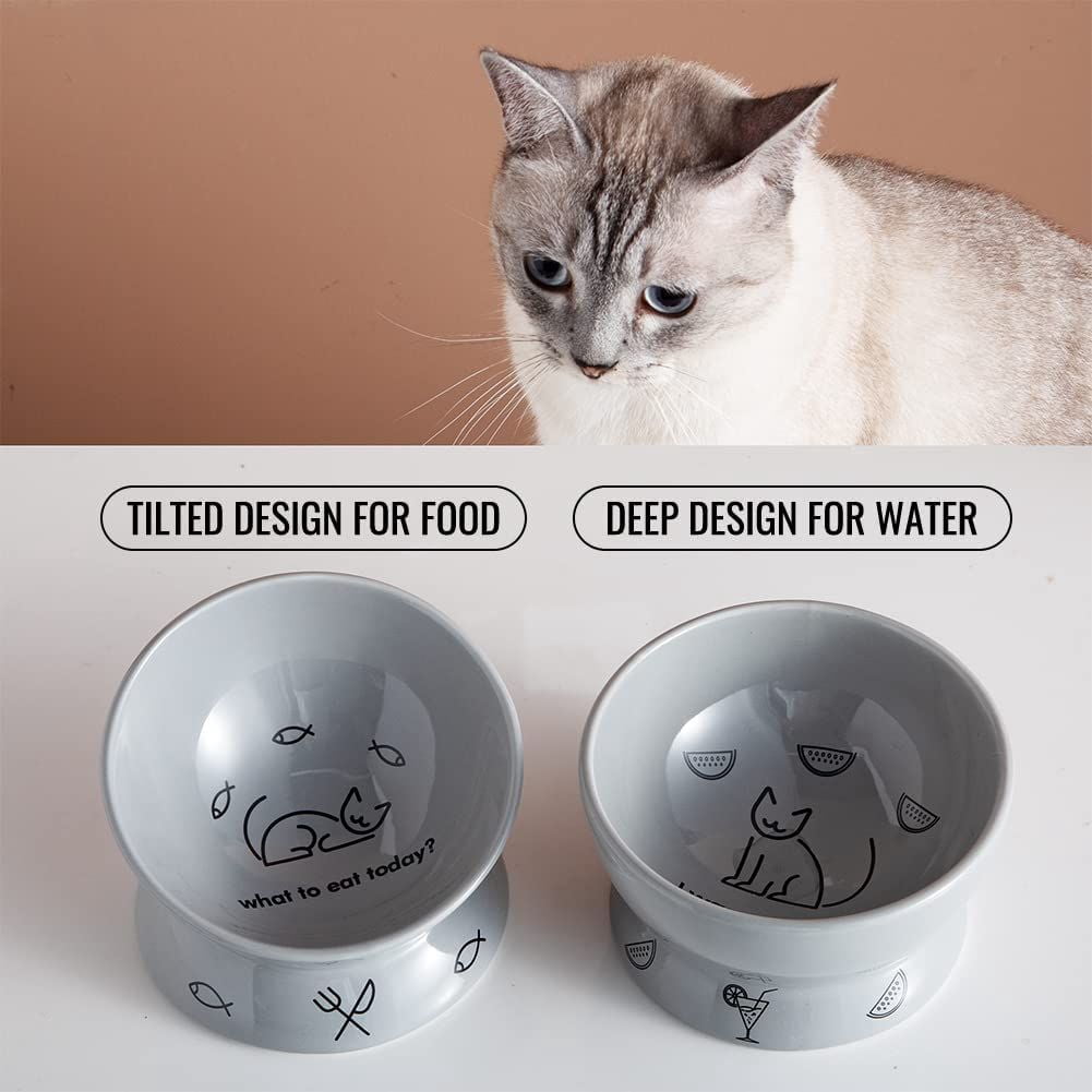 SWEEJAR Raised Cat Bowls Set, Tilted Food Bowl and Deep Water Bowl, Ceramic Pet Bowl Collection for Cats and Small Dogs, Set of 2 (Gray)