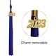 thumbnail image 5 of Toga de graduación universitaria azul real y gorro de graduación para adultos 2023 Atuendo unisex para graduación de secundaria, 5 of 5