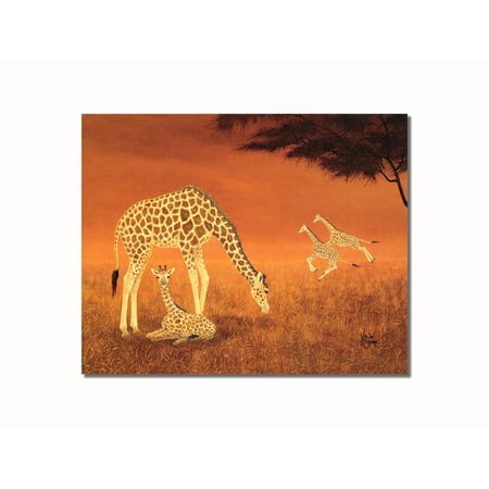 African Giraffe Family Animal Wildlife Wall Picture 8x10 Art (Best Place To See Wildlife In Africa)