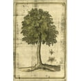 thumbnail image 2 of Vision Studio 13x18 Gold Ornate Wood Framed with Double Matting Museum Art Print Titled - Printed Fruitful Realm II, 2 of 4