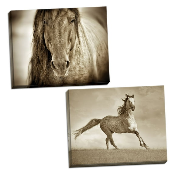 Gango Home Decor Horizontal Like the Wind & Mustang Sally by Lisa Dearing (Ready to Hang); Two 20x16in Hand-Stretched Canvases