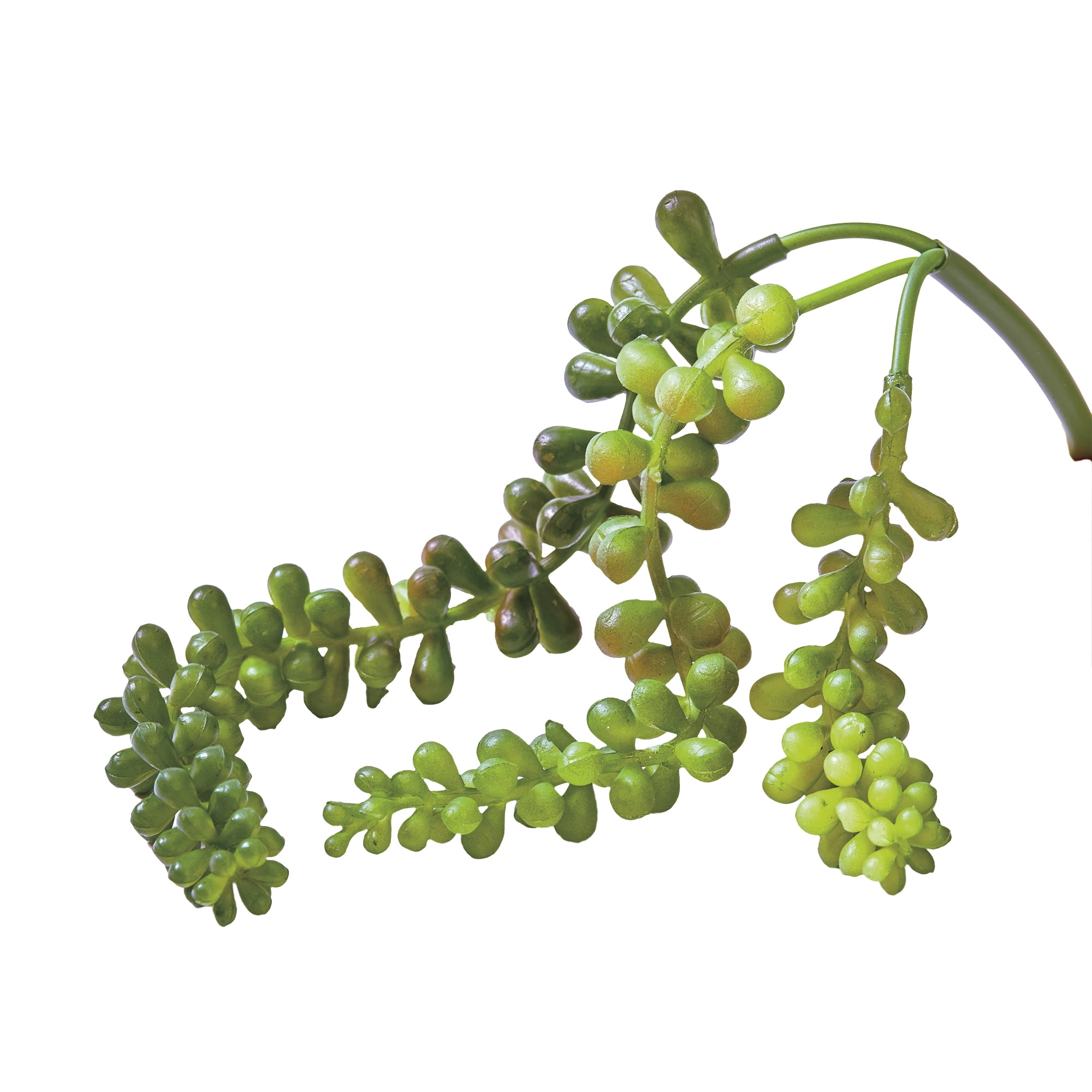 Mainstays Artificial Olive Green Succulent Pick 12" String of Pearls