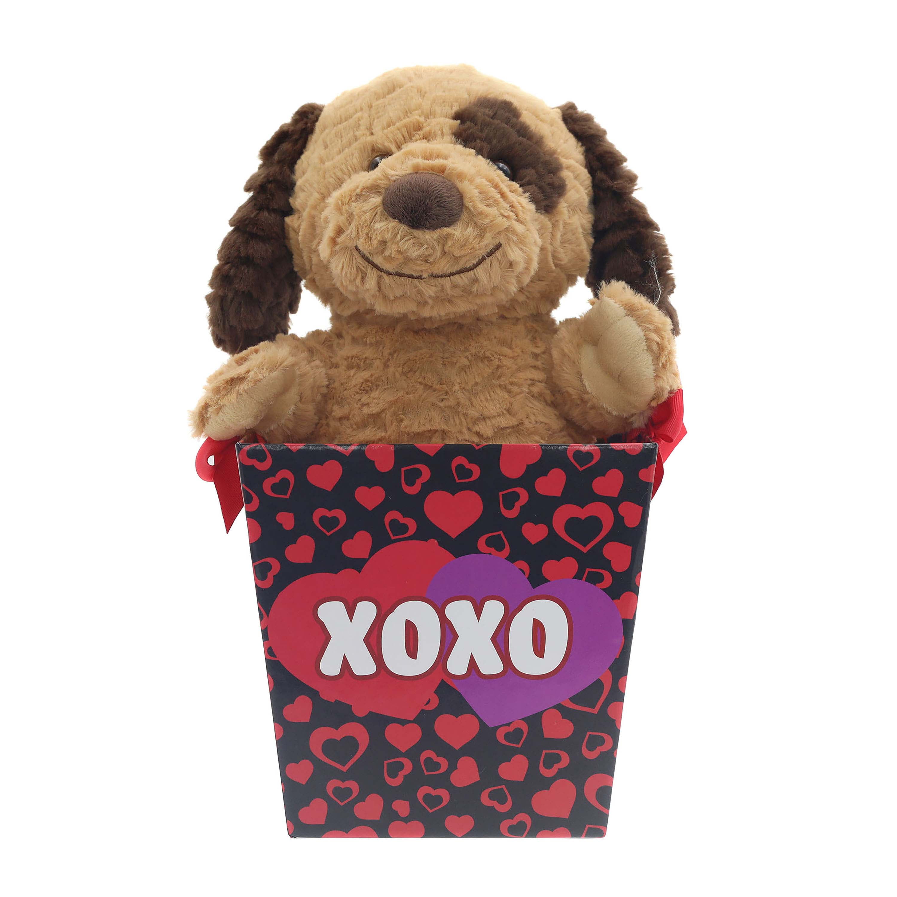 Brown Puppy Plush in a Gift Bucket for Valentine's Day by Way to Celebrate