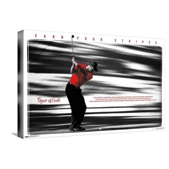 Tiger Woods - Earn Your Stripes Canvas Wall Poster, 14.725" x 22.375"