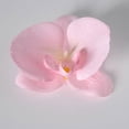 thumbnail image 1 of XmhyTop 20 piezas de flores de mariposa artificiales de seda para decoración de bodas, ramos y fiestas, 4,33 pulgadas, rosa claro, 1 of 5