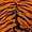 Orange, variant on Everything Comfy Tiger Print Decorative Throw Pillow, 16x16 Inch, Natural,