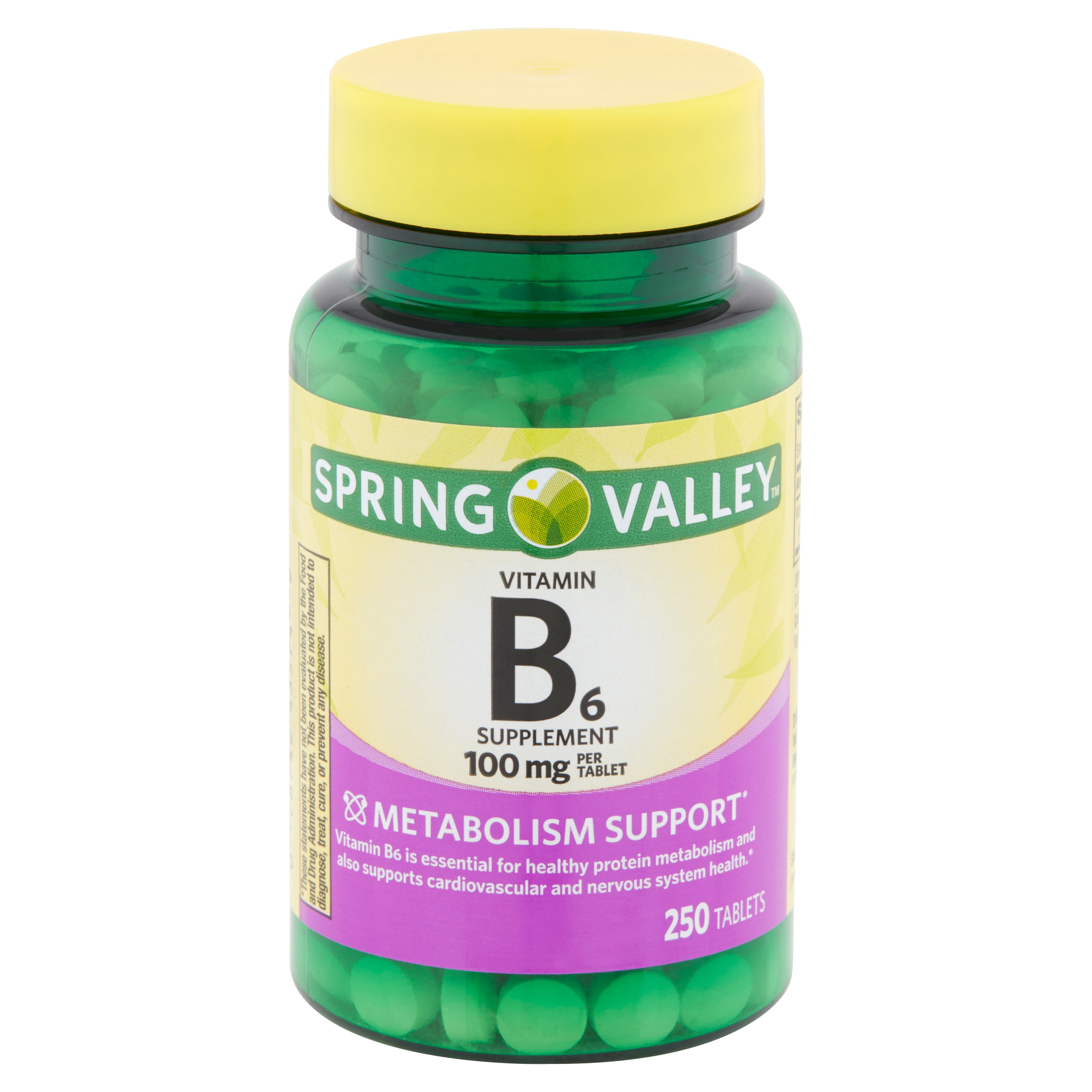 spring-valley-vitamin-b6-tablets-100-mg-250-count-walmart