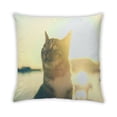 thumbnail image 2 of Ahgly Company Coussin d'Extérieur Cat Cats, 18 Pouces par 18 Pouces, 2 of 6