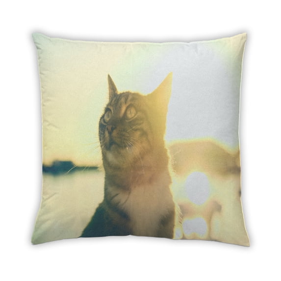 Ahgly Company Cat Cats Outdoor Throw Pillow, 18 inch by 18 inch