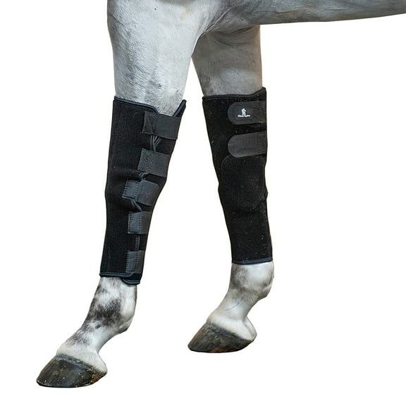 Classic Equine Horse Breeding Boots