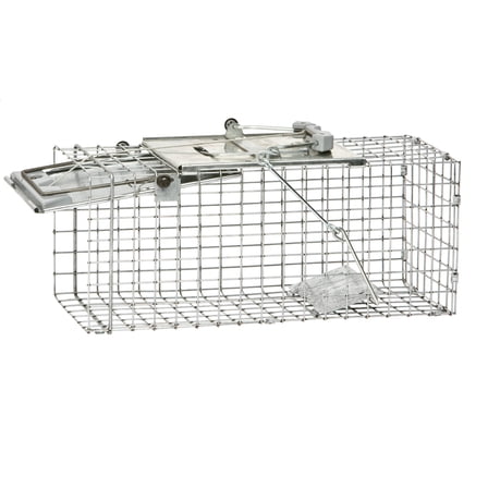 Havahart Small Squirrel, Chipmunks Catch and Release Trap with Spring ...