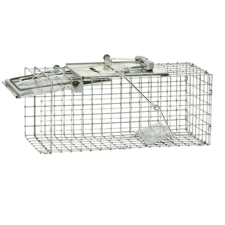 https://i5.walmartimages.com/asr/ea8aafcf-3593-4530-8e00-abe876877b1e_1.20bb2dde2b481aba25bc1e18a30844ae.jpeg?odnHeight=450&odnWidth=450&odnBg=ffffff