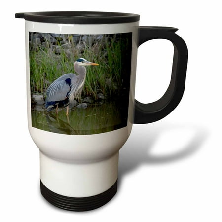 3dRose Great blue heron bird Maumee Bay Refuge, Ohio - US36 DFR0038 - David R. Frazier, Travel Mug, 14oz, Stainless Steel