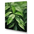 thumbnail image 2 of Designart "Telling A Tale With Tea Leaves III" Coffee & Tea Canvas Art Print, 2 of 7