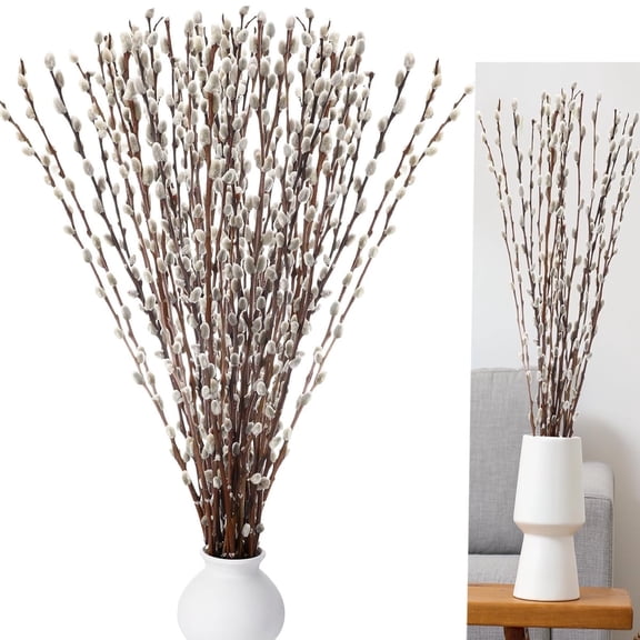 Tutuviw Natural Preserved Dried PussyWillow Branches,20 Stems 12" Real Dried Pussy Willows,Snow Pussywillows,Dried Flowers for Indoor and Outdoor Decor,DIY Floral Art Plants Fireplace