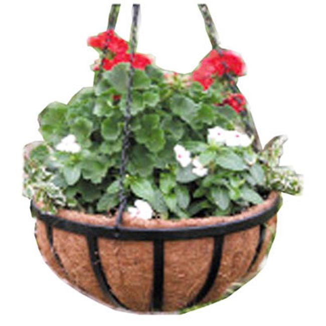 Border Concepts 72260 12 in. Wrought Iron Traditional Hanging Basket