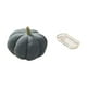thumbnail image 5 of Almohadas de calabaza de Halloween,Almohadas de calabaza de Halloween Decoración del hogar Suave,Cojines de calabaza para Halloween,peluches,sofá,Bandeja de almacenamiento,Bandeja rectangular, 5 of 8