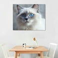 thumbnail image 2 of Animal Cat Canvas Wall Art, Blue Eyes British Shorthair Picture Canvas Painting, Wildlife Digital Art, Colorful Ready to Hang for Living Room Bedroom Office Wall Decor Home Decor, 2 of 4