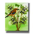 thumbnail image 1 of Epic Graffiti 'Bird on Plant' by Ata Alishahi, Giclee Canvas Wall Art, 20"x24", 1 of 8