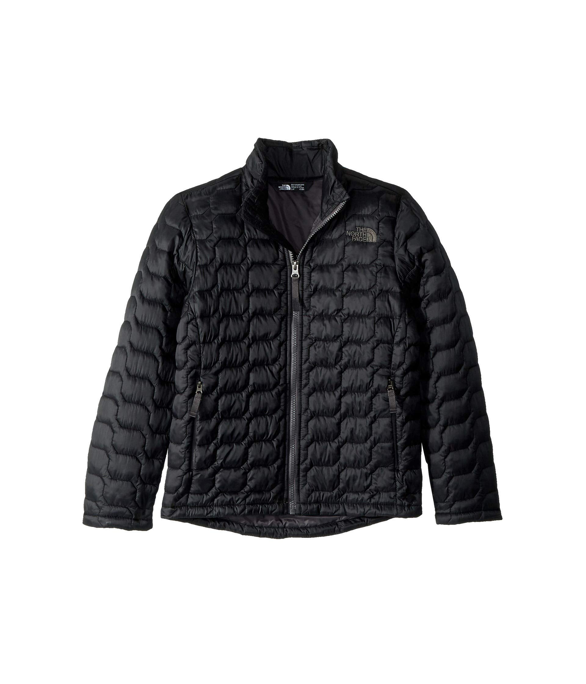 New 7077 THE NORTH FACE NWT MENS JAKE BLUE ZIPPER FRONT