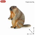 thumbnail image 3 of Oenux Wild Animals Simulation Rodent Marmot Mouse Model Squirrel Rat Chinchilla Action Figure Figurine Collection Cute Kid Toy, 3 of 10