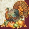 Traditional Turkey Thanksgiving 16 Ct 2 Ply Luncheon Napkins