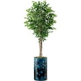 thumbnail image 4 of Artificial Tree in Modern Planter, Fake Ficus Silk Tree for Indoor and Outdoor Home Decoration - 66" Overall Tall (Plant Pot Plus Tree), 4 of 5