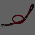 thumbnail image 6 of Glow in the Dark Waterproof 5/8" Wide x 4' Lengh Dog Leash - Grey for All Dogs and Cats, from Toy Doggie Brand - Adventure Proof Collection, 6 of 20
