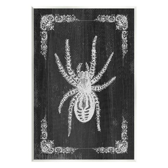 Stupell Industries Black & White Spider Holiday Painting Unframed Art Print Wall Art, 10 x 15