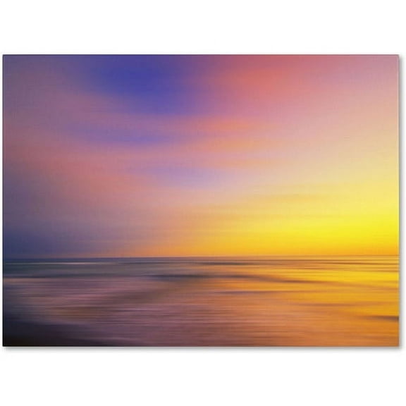 Trademark Fine Art "Metallic Sunset" Canvas Art by Philippe Sainte-Laudy